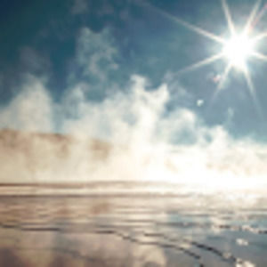 Meet your Posher, Darlene